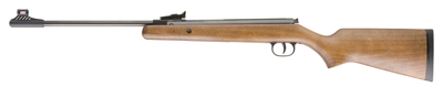 .177 Diana RWS Schutze