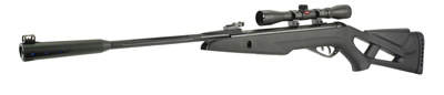 .177 Gamo Silent Cat