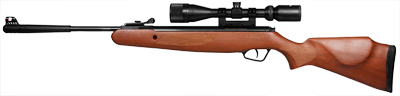 Stoeger X20 Wood Breakbarrel Pellet Rifle Combo