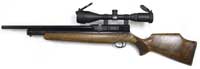 Webley Raider 10 Combo