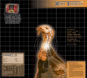 X-Ray Paper Targets, Turkey, 18.75x16.75 - 6pk