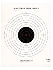 National Target Single Bull Red Center Air Pistol Target