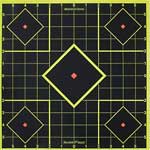 Birchwood Casey Shoot-N-C Sight-In Targets, 8 inch Square, 6ct