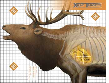 Elk X-Ray Paper Target, 36 inchx30 inch, 6ct