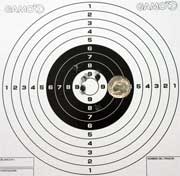 Beeman Crow Magnum target