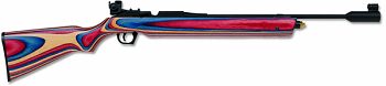 Daisy Avanti 888 Medalist Air rifle