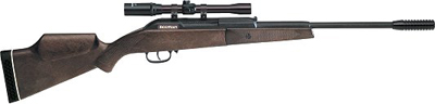 Beeman Guardian Air Rifle Combo, 4x20 Scope