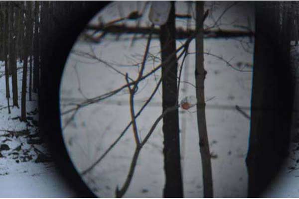 Scope View