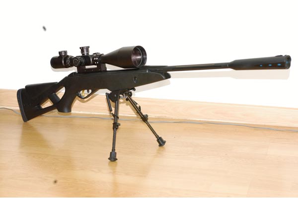 Custom Gamo Whisper VH