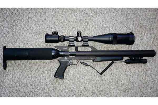 Talon SS .22