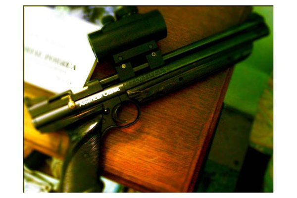 My Crosman 1377