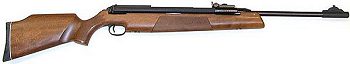 .177 Diana RWS 54