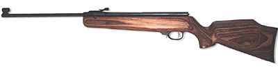 RX-2 Air Rifle