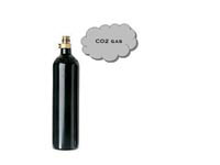 Spyder CO2 Tank, Filled, 12 oz., Refillable