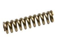 Beeman BN Locking Spring R9