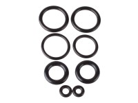Air Arms Complete Set O-Rings For Alfa Proj PCP Pistol