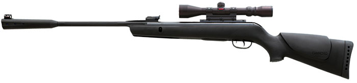 Gamo Whisper, 0.22"