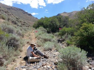 There is great terrain at Battle Mountain. Allowing for lots of wind, hard to find targets and even a few well shaded targets too!