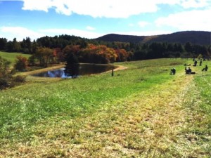 Gorgeous view of the lake side of the course on Sunday!