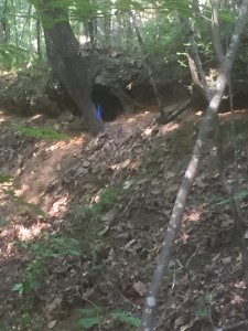 Match Director Ken Hughes had some tricks up his sleeve. Like this target tucked in the blackness of a dug out tree root. You can't even see the target!