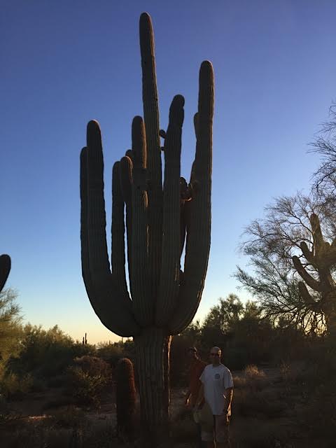 This cactus is massive! Leo and Garrett are both are 6' for reference. You don't see these things just anywhere. This cactus is massive! Leo and Garrett are both are 6' for reference. You don't see these things just anywhere.