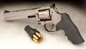 The pistol has a fully adjustable rear sight with click stops for elevation and windage.