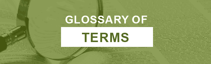 Glossary of Terms