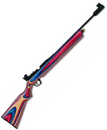 Daisy 888 Medalist 10-meter rifle | Pyramyd Air Blog