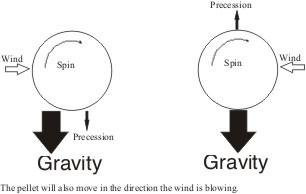 Precession_of_a_pellet-web