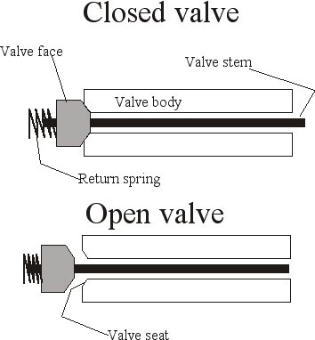 Valves-web