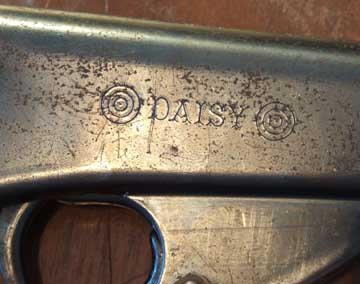 daisy-12-logo-web