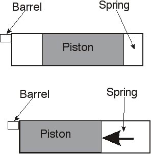 spring-piston-web