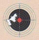 06-17-10-07-crosman-116-target-hunter