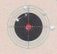 06-17-10-09-crosman-116-target-fts