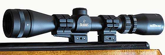 06-25-10-03-Beeman-R8-scope
