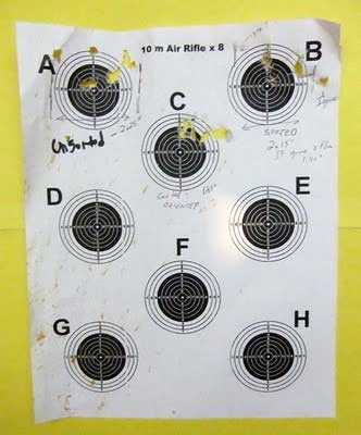 07-09-10-04-pellets-target-1