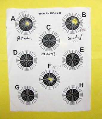 07-09-10-07-pellets-target-2