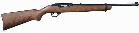 Ruger 10/22