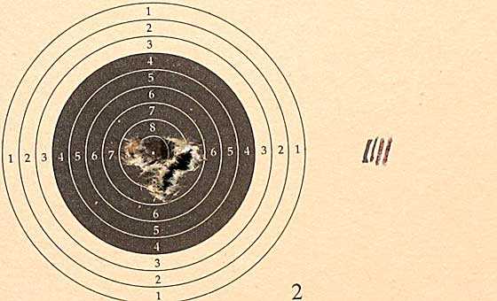 10 shot test target3