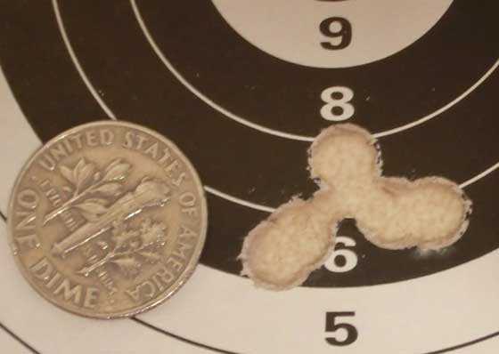 BSA Scorpion SE Predator Polymag 40 yards