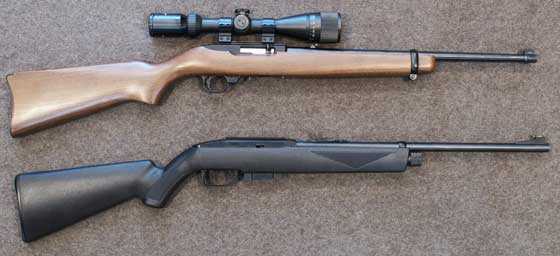 1077 rifle and 10/22