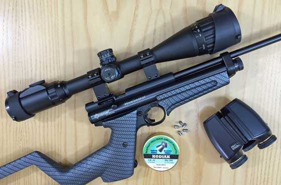 Crosman2400KT HiveSeeker