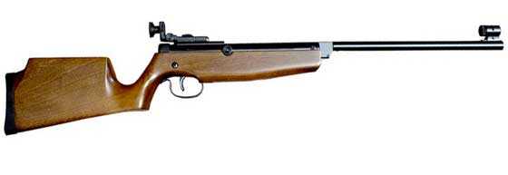Buy online Air gun pellets RWS R10 Match Rifle 4.49mm (.177