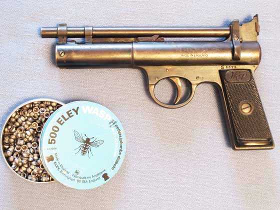 Webley Senior