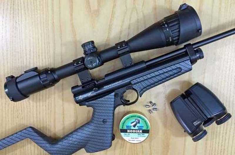 Crosman 2400 KT HiveSeeker