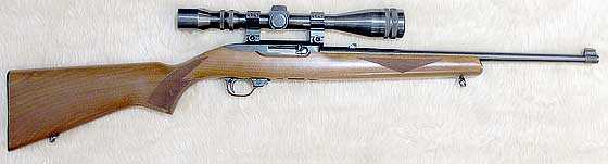 Ruger 10/22