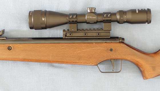 RWS Diana 45 scoped