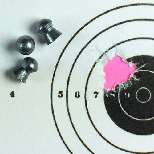 H&N Field Target Trophy target