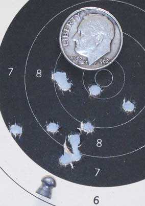 Crosman Premier lite target 5