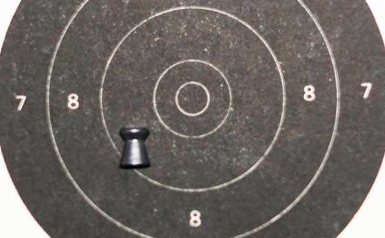 10 meter pistol target